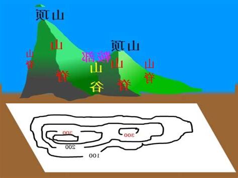 山 部位